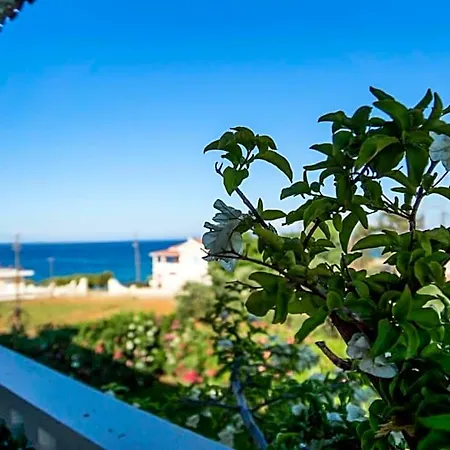Hotel Petra Plános